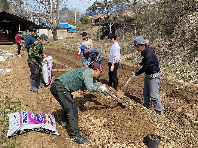 음성군 제공