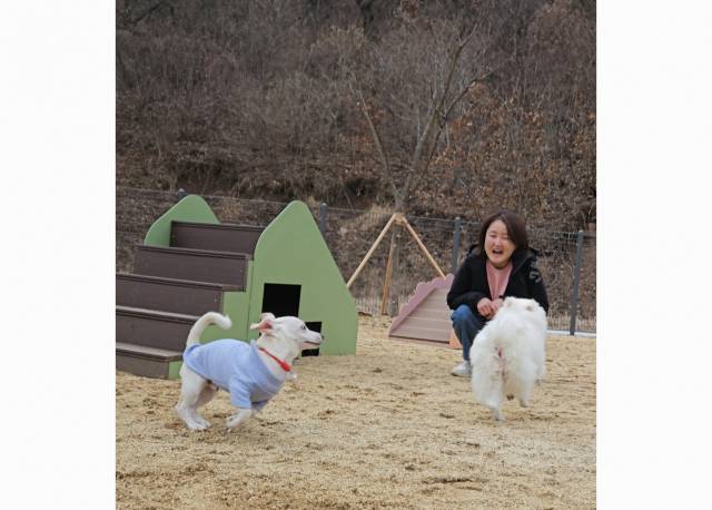 ▲ⓒ영덕군청