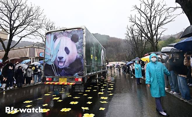 푸바오 팬들이 3일 오전 용인 에버랜드 장미원에서 푸바오를 실은 특수차량을 보며 배웅하고 있다./사진=사진공동취재단