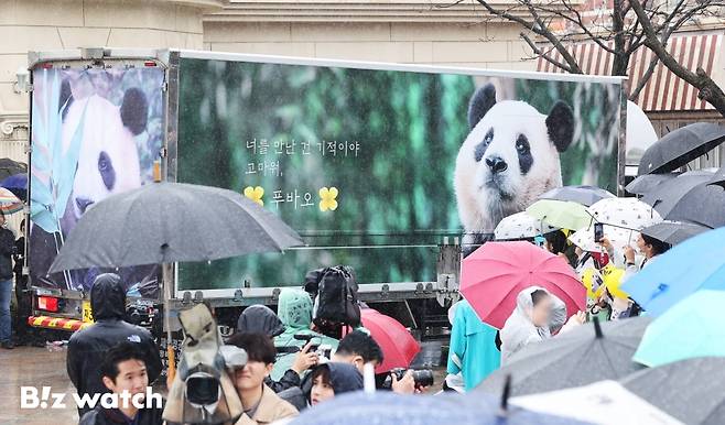 푸바오 팬들이 3일 오전 용인 에버랜드에서 푸바오를 실은 특수차량을 보며 배웅하고 있다./사진=사진공동취재단