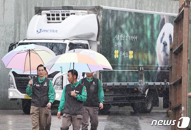 3일 오전 경기도 용인시 에버랜드에서 판다월드 사육사들이 중국으로 떠나는 자이언트 판다 '푸바오'를 싣고 있는 무진동 특수 차량과 함께 걷고 있다. 2024.4.3/뉴스1 ⓒ News1 사진공동취재단
