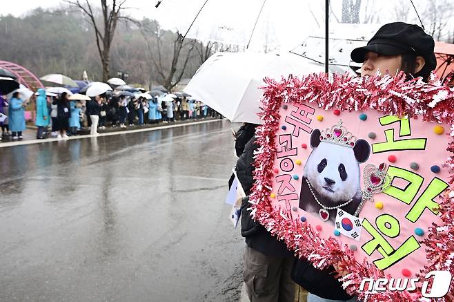 3일 오전 경기도 용인시 에버랜드에서 시민들이 중국으로 떠나는 자이언트 판다 '푸바오'를 배웅하기 위해 기다리고 있다. 2024.4.3/뉴스1 ⓒ News1 사진공동취재단