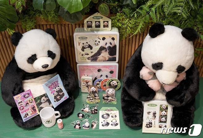 에버랜드가 오는 9일부터 22일까지 서울 여의도 더현대 서울에 '푸바오 팝업 스토어'를 운영한다고 2일 밝혔다.  (삼성물산 제공) 2023.11.2/뉴스1