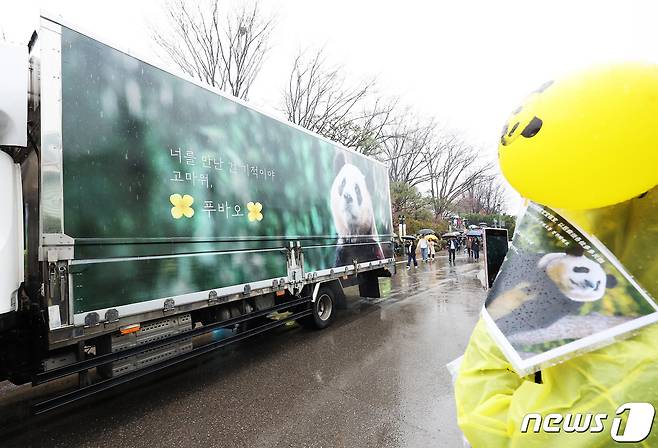 3일 오전 경기도 용인시 에버랜드에서 시민들이 중국으로 떠나는 자이언트 판다 '푸바오'를 실은 무진동 특수 차량을 보며 배웅하고 있다. 2024.4.3/뉴스1 ⓒ News1 사진공동취재단