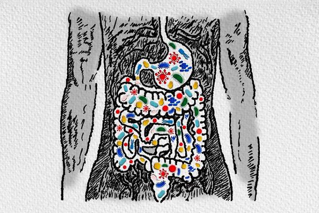 비만을 일으키는 장내 미생물은 남성과 여성이 서로 다른 것으로 나타났다. ArtemisDiana/게티이미지뱅크 제공.