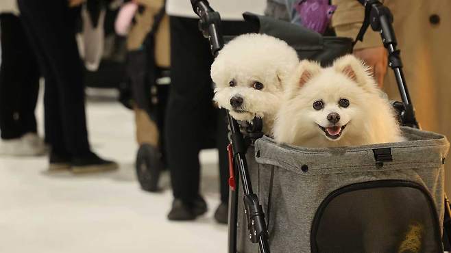 [자료사진 제공 : 연합뉴스]