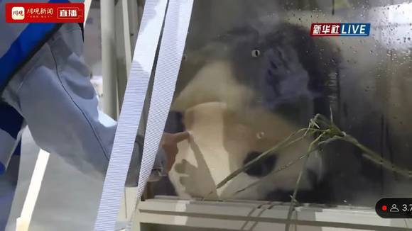 케이지 구멍 안으로 손가락을 넣기도 했다. [사진=신화통신사 라이브 캡쳐]