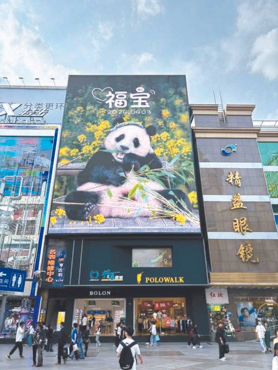 청두의 대표적인 명품 쇼핑가인 타이쿠리(太古里)에 등장한 푸바오 환영 포스터. 사진 청두 총영사관 제공