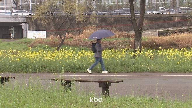 ▲봄비 내리는 광주천
