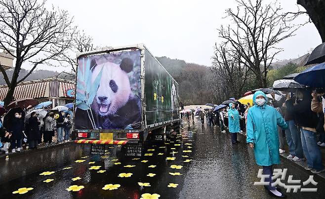 푸바오 팬들이 3일 오전 용인 에버랜드 장미원에서 푸바오를 실은 특수차량을 보며 배웅하고 있다. 용인=사진공동취재단