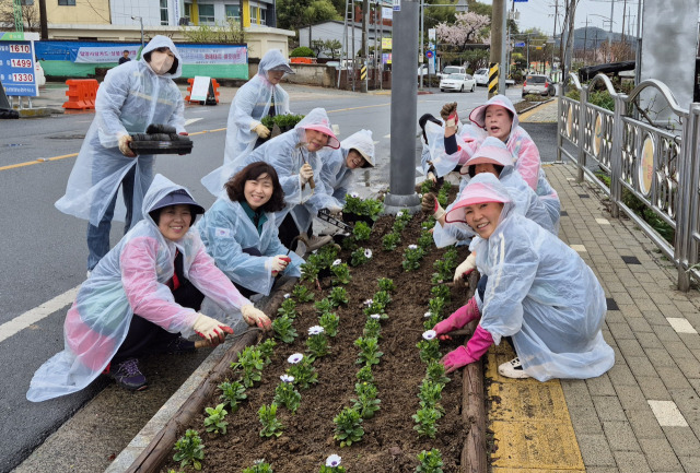 ▲3일 서연주 초동면장과 관계자들이 주요 도로에 봄꽃을 심고 있다.ⓒ밀양시