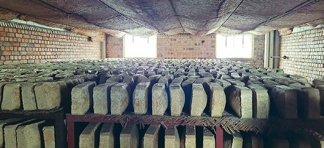 랑야타이 주창의 누룩 저장고. 춘추전국시대 월나라에서 전래된 전통기법으로 누룩을 빚는다고 한다. 우리나라 메주처럼 만들어 적정 온도에서 발효·저장하고 있다.