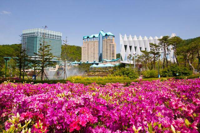 석탄산업합리화정책 이후 침체의 골이 깊어진 폐광지역 경제 활성화를 위해 설립된 공기업인 강원랜드가 최근 카지노 매출 총량제 완화와 베팅금액 상향 등 규제완화를 요구하고 나섰다. 강원 정선군에 자리한 강원랜드 본사의 모습. 강원랜드 제공