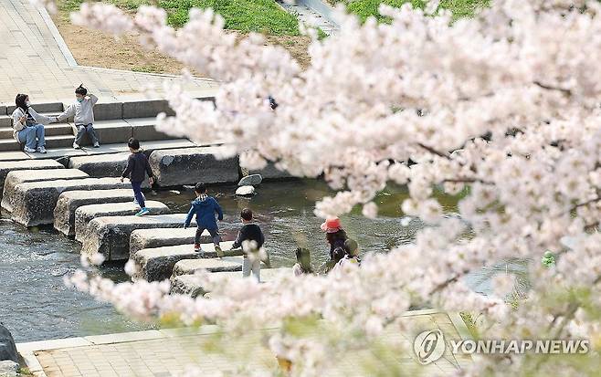 벚꽃 만개한 양재천 (서울=연합뉴스) 김도훈 기자 = 완연한 봄 날씨를 보인 4일 오전 서울 강남구 양재천을 찾은 관내 어린이집 원아들이 생태체험 학습을 하고 있다. 2024.4.4 superdoo82@yna.co.kr