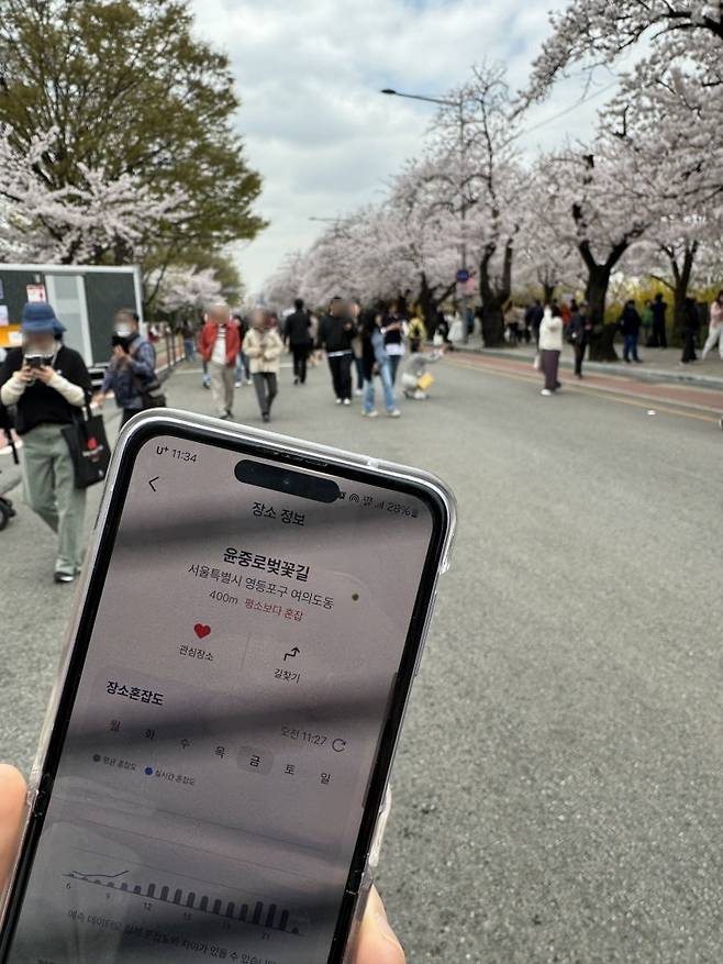 SK텔레콤 에이닷 서비스가 설명하는 '평소보다 혼잡'에 맞게 많은 방문객들로 북적이는 서울 여의도 윤중로 벚꽃길의 모습/사진=유지희 기자