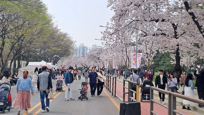 6일 오후 서울 영등포구 여의서로에서 벚꽃길을 걷는 시민들 /안준현 기자