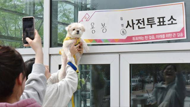 22대 국회의원 선거 사전 투표 둘째 날인 6일 오후 광주 북구 용봉동 사전투표소에서 유권자들이 반려견과 기념사진을 찍고 있다. 뉴스1