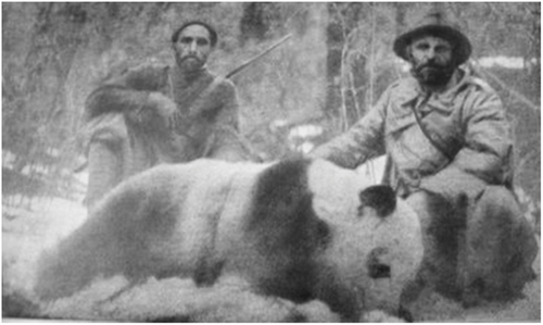 1929년 중국에서 판다를 사냥한 뒤 기념촬영중인 시어도어 루즈벨트 주니어와 커밋 루즈벨트. [시카고 필드 박물관]