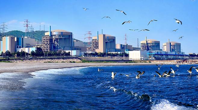 경북 경주에 위치한 월성 원자력 본부 모습. 둥근 지붕의 건축물이 원전으로, 오른쪽부터 월성 1~4호기다. /월성 원자력 본부