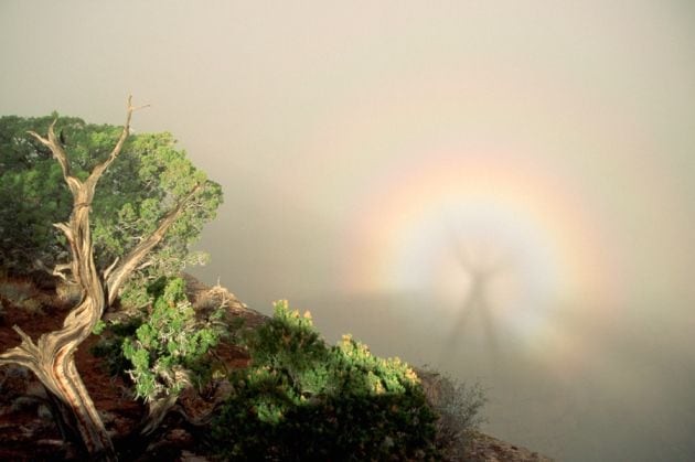 한 등산객이 미국의 콜로라도 국립공원에서 자신의 그림자 주위에 나타난 글로리 현상을 촬영했다./Tom Bean