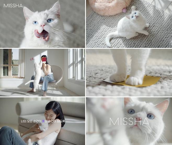 /사진제공=에이블씨엔씨 미샤