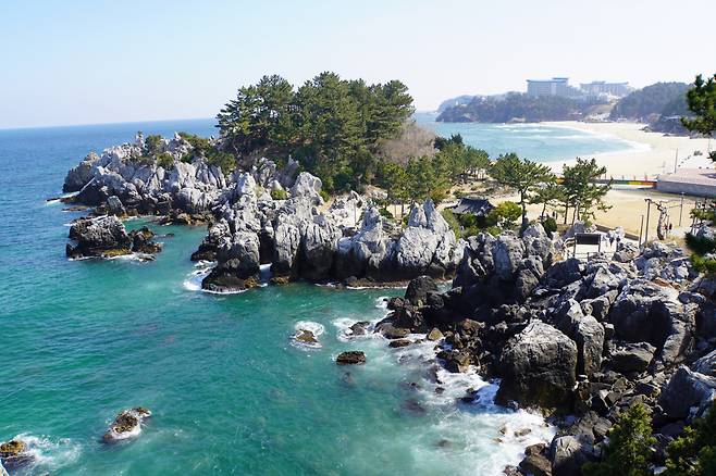 동해시 추암 용뫼와 석림