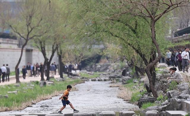 전국 대부분 지역 낮기온이 20℃를 넘은 8일 점심시간 서울 청계천에서 반팔과 반바지를 입은 어린이가 징검다리를 건너고 있다. 연합뉴스