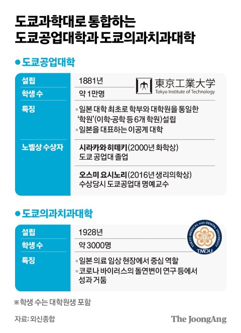 김영희 디자이너