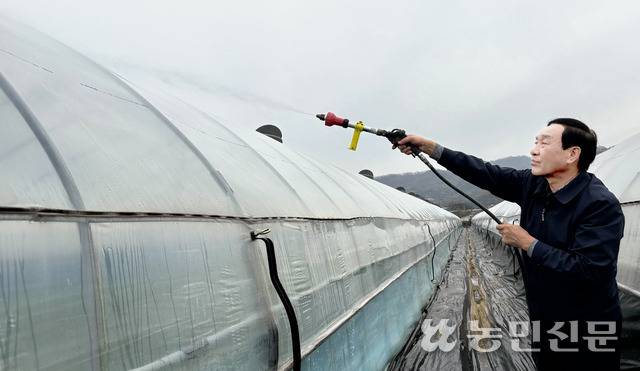 8일 경북 성주군 월항면 수죽리에 있는 참외농가에서 강도수 한국참외생산자협의회장(월항농협 조합장)이 시설하우스에 고압 분무 호스를 대고 비닐 표면을 세척해 보이고 있다.