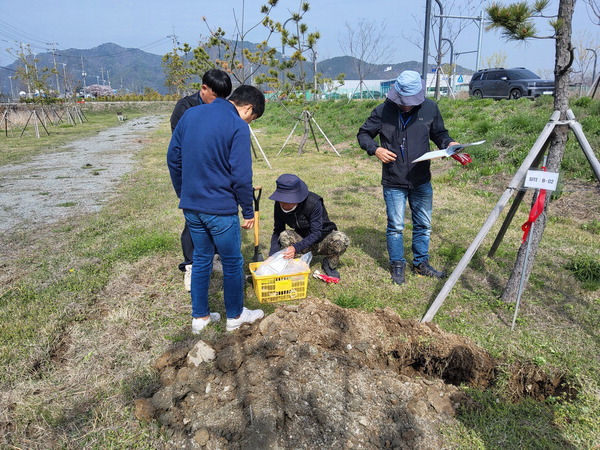 부산시와 한국수자원공사 관계자가 에코델타시티 1단계 녹지에서 토양 시료를 채취하고 있다. 한국수자원공사 제공