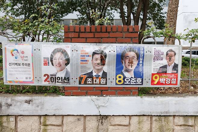 대구 수성구을 선거구에서 야당 후보들의 선거 벽보가 훼손된 모습./뉴스1