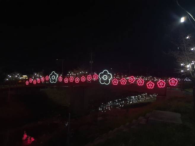 경포 벚꽃축제 새로운 명소로 떠오른 브릿지 감성 조명. 강릉시 제공