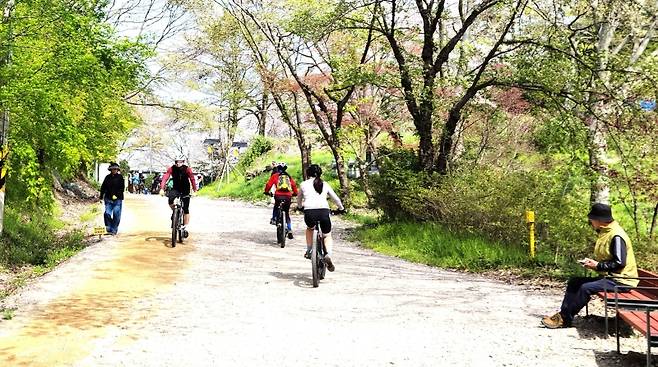 ▲너릿재 옛길은 평탄하게 잘 닦여진 옛 국도로 평소 자전거 하이킹과 마라톤 동호인들도 즐겨 찾는 코스이다.