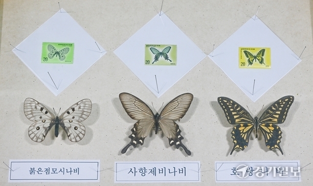 국내에서 발행된 다양한 곤충 우표와 실물 표본이 전시돼 있다. 윤원규기자