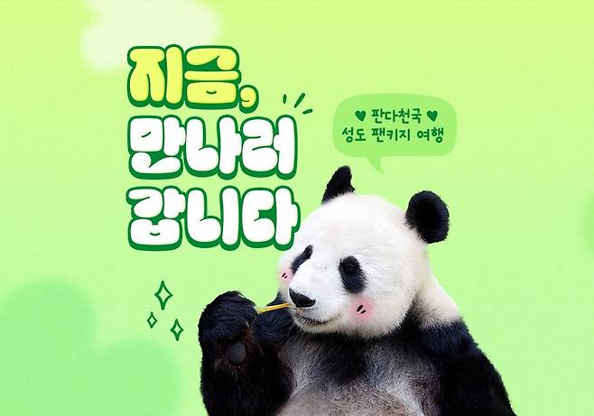 하나투어의 선제적 스촨성 판다여행 패키지의 알림 이미지