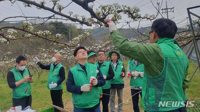 [수원=뉴시스] 농촌일손돕기