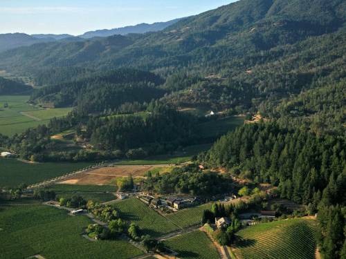 헬름스 빈야드 전경 출처=홈페이지