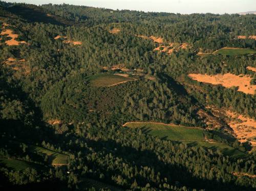 크리스탈 스프링 빈야드 전경 출처=홈페이지