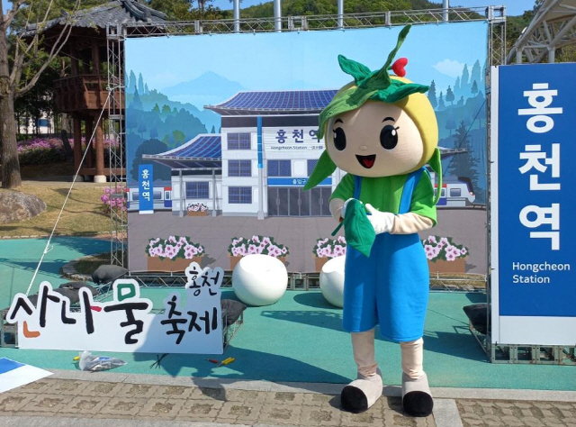 ▲ 홍천 산나물 축제 마스코트 곰이