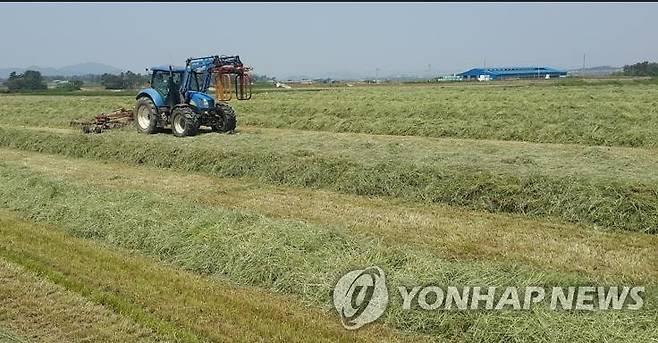 조사료 수확 [연합뉴스 자료]