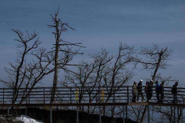 가리왕산 케이블카 상부 정류장은 해발 1,381m에 이르는 하봉에 위치한다. 정류장에 설치된 데크 주변으로 신갈 등의 나무들이 건조피해로 인해 고사하거나 고사 위기에 처해 있다.