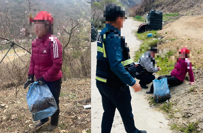 부모님이 정성들여 키운 두릅을 불법 채취하는 여성을 붙잡은 사연이 공개돼 눈길을 끈다. [사진출처 = 온라인커뮤니티]