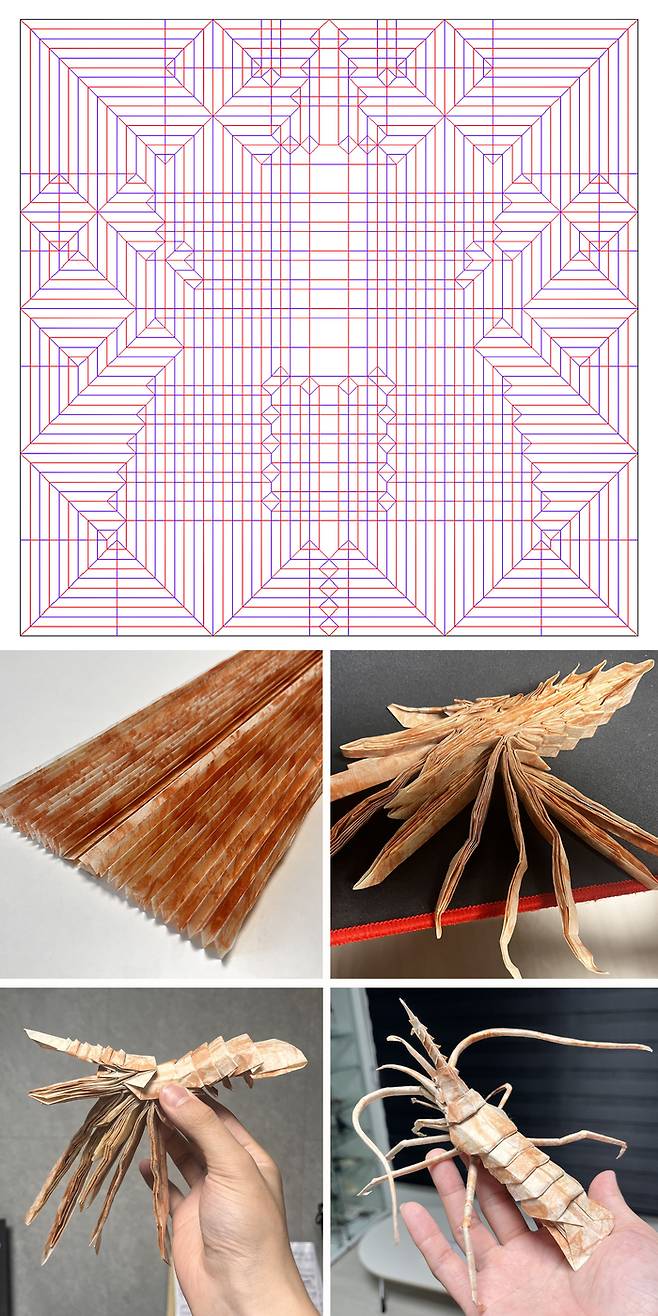 직접 설계한 독도새우 도안과 제작 순서