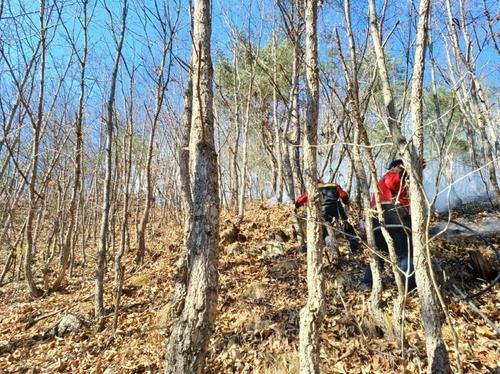 청송 산불 진화 현장 [산림청 제공. 재판매 및 DB 금지]