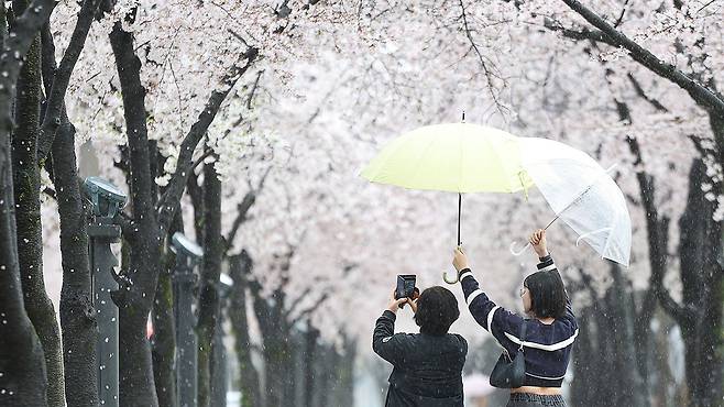 자료사진 제공: 연합뉴스