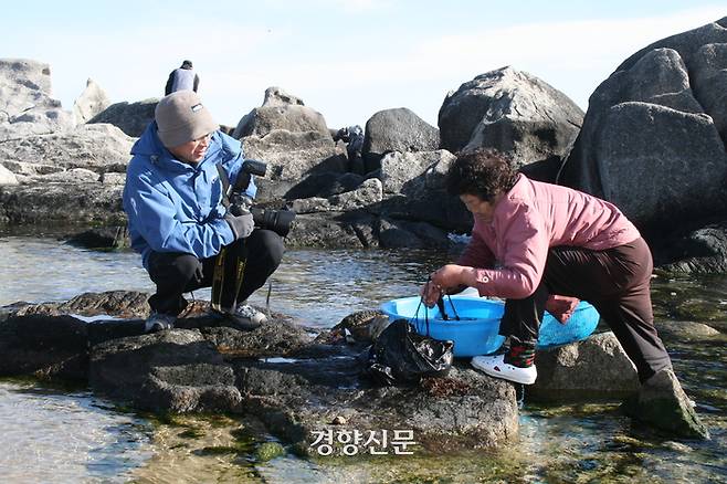 전남대 호남학연구원 학술연구교수가 2010년 강원 강릉시 주문진 해얀가에서 김 채취를 하고 있는 어민과 인터뷰를 하고 있다.|김준 교수 제공