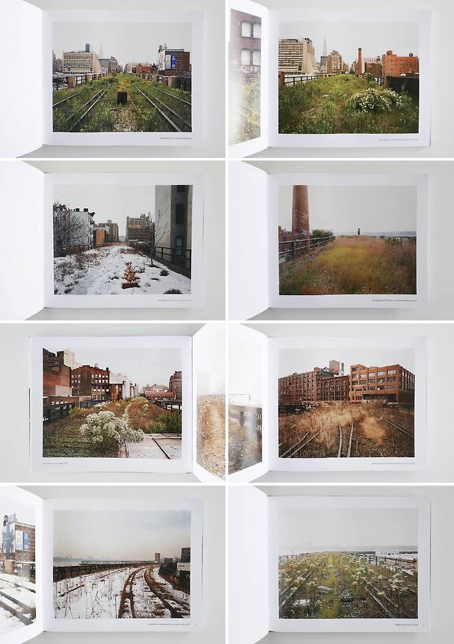 이 책은 2000~2001년 철거 위험에 놓였던 미국 뉴욕 맨해튼의 고가 철도 ‘하이 라인’에 숨겨진 다채로운 풍경을 포착했다. 현재와 같이 공원으로 조성되기 이전의 모습을 엿볼 수 있다. 스턴펠드는 하이 라인에 숨겨진 풍경의 아름다움을 여러 계절에 걸쳐 이 책에 담았다. 사진 김진영
