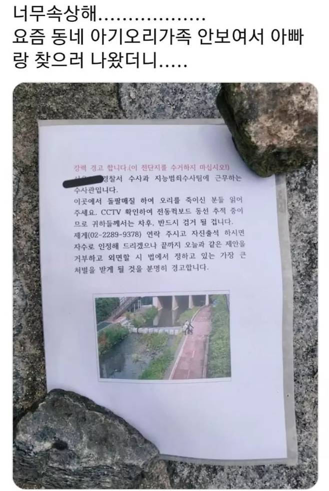 온라인 커뮤니티 '네이트판'에 폭로된 오리가족 돌팔매질 '충격'