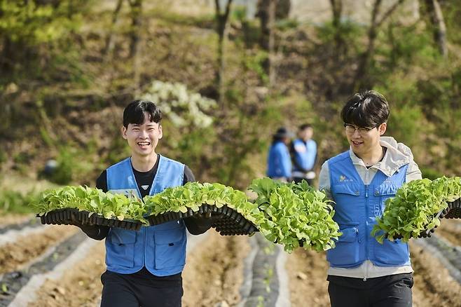 KT&G가 일손 부족으로 경작활동에 어려움을 겪고 있는 잎담배 농가를 돕기 위해 지난 12일 충북 보은군 지역에서 잎담배 모종이식 봉사활동을 진행했다. 사진은 봉사활동에 참여한 KT&G 임직원들이 잎담배 모종을 운반하고 있는 모습. 사진=KT&G