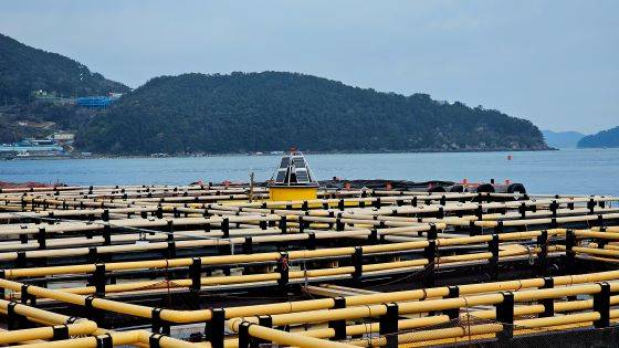 통영메가코즘시험기지 전경, 실험 투입 전 대기 중인 '하이브리드 부유식 발전시스템'이 보인다/사진=KIOST